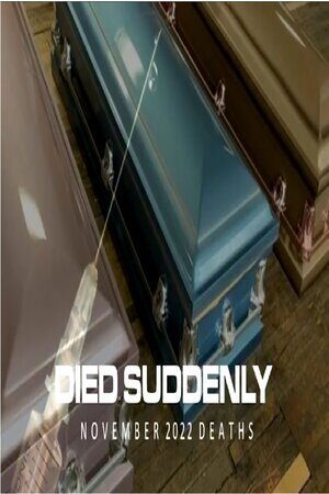 DEC 4, 2022 NOVEMBER 2022 DIED SUDDENLY