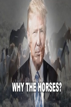 Episode 589 Aug 24, 2026 Why The Horses? Its Worse Than You Know!