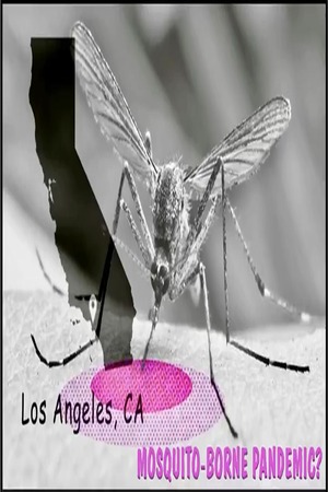 Episode 611 Oct 11, 2026 A Coming Mosquito-Borne Pandemic?